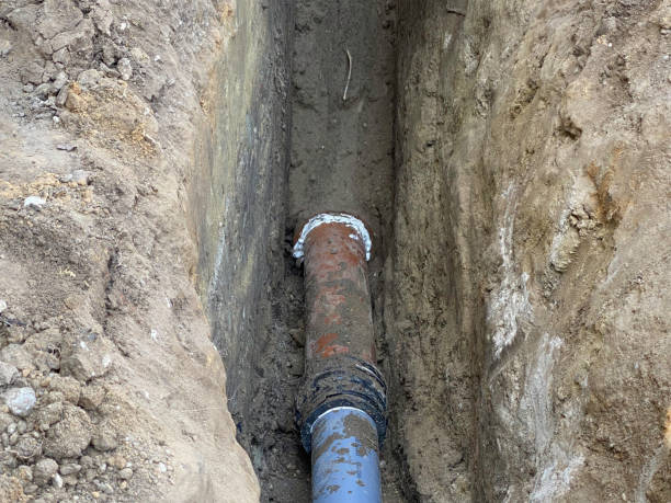 Best Basement water damage restoration  in Germantown, TN