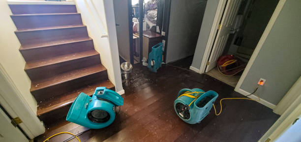 Best Residential water damage restoration  in Germantown, TN