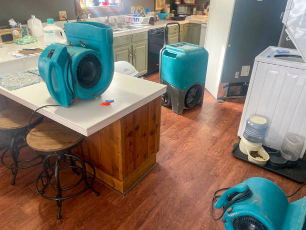 Best Commercial water damage restoration  in Germantown, TN