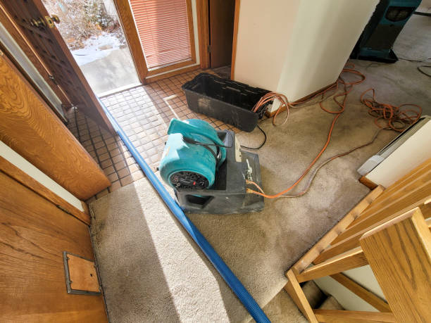 Best Emergency water extraction  in Germantown, TN