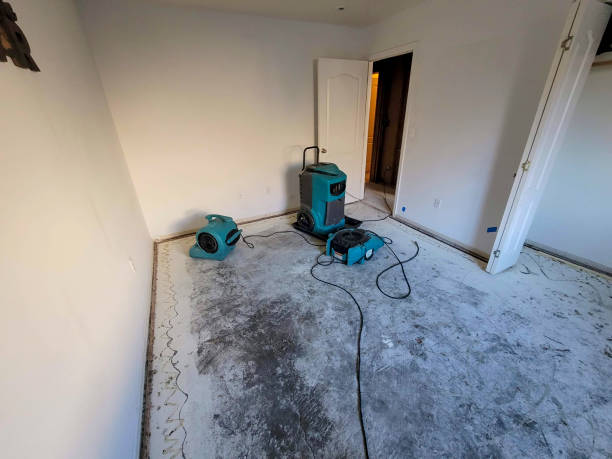 Carpet water damage restoration in TN