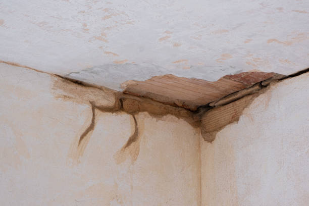 Best Water damage restoration insurance claims  in Germantown, TN