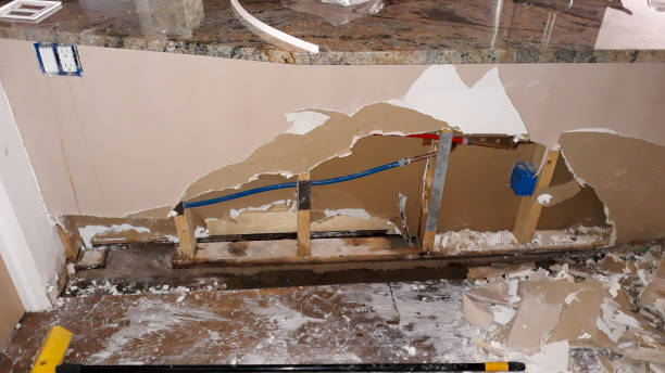 Best Flood damage cleanup  in Germantown, TN