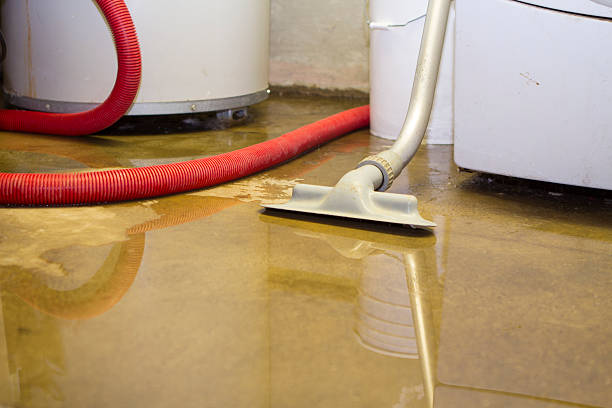 Best Flooded house restoration  in Germantown, TN