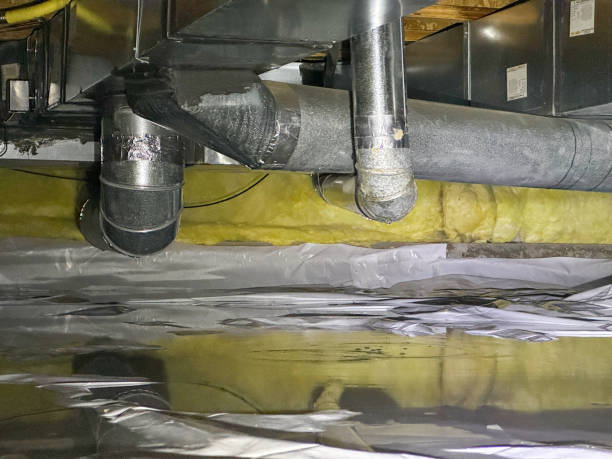 Best Mold removal after water damage  in Germantown, TN