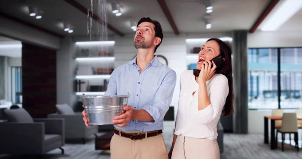 Best Flood restoration services  in Germantown, TN
